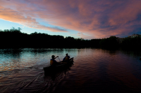 Night Guided Paddle - Launch Your Own